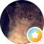 Joey Raper Avatar